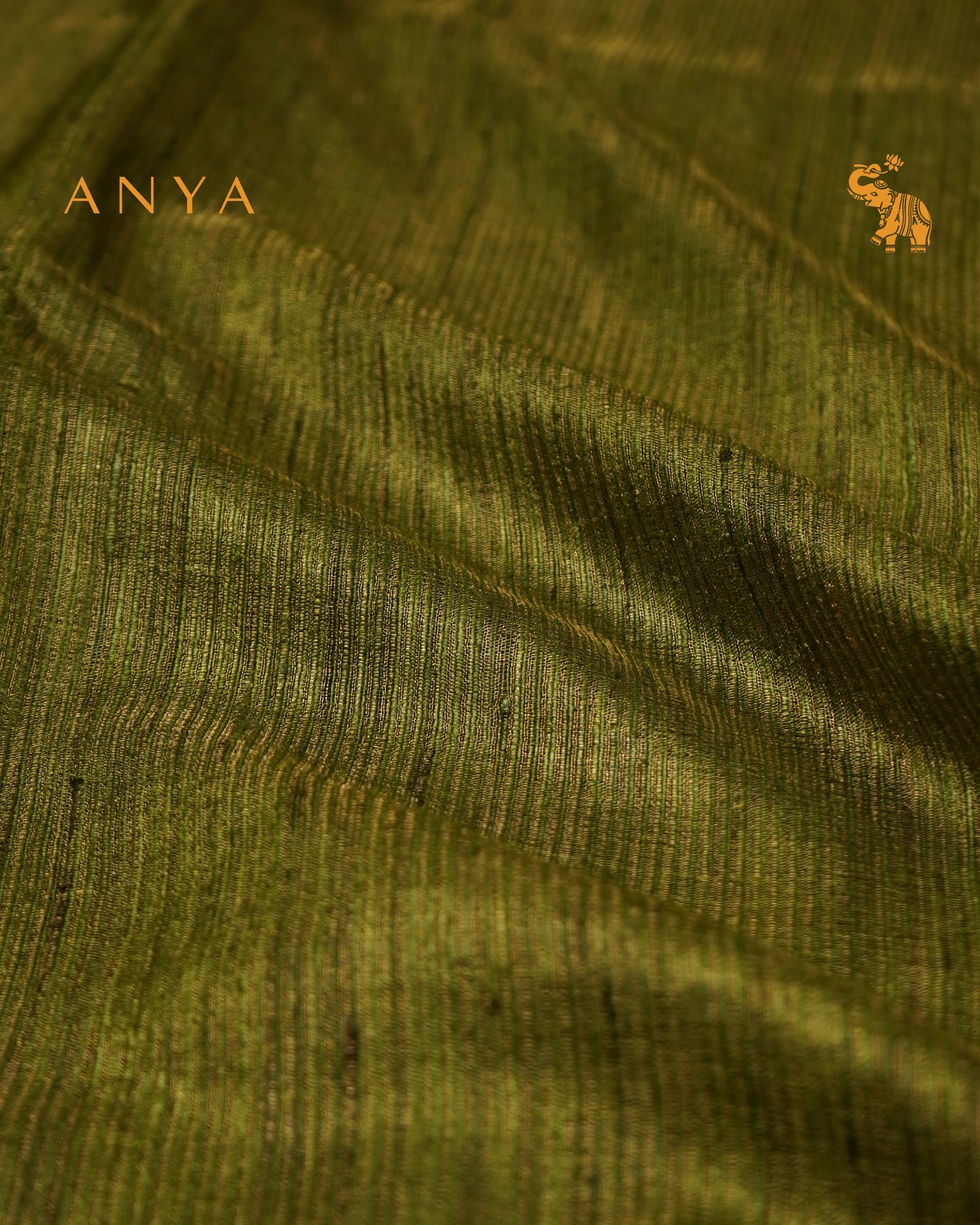 Chutney Green Tussar Silk Saree with Stripes Design