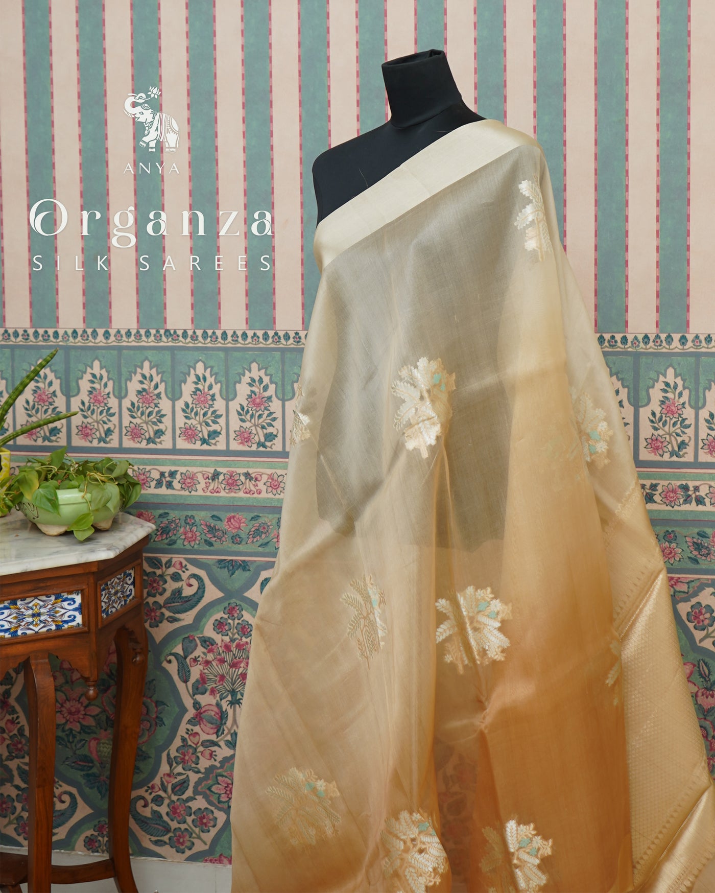 Chickoo Organza Saree with Big Motifs Design