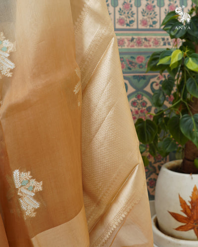 Chickoo Organza Saree with Big Motifs Design