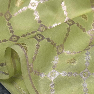 Light Green Organza Fabric with Diamond Butta Design