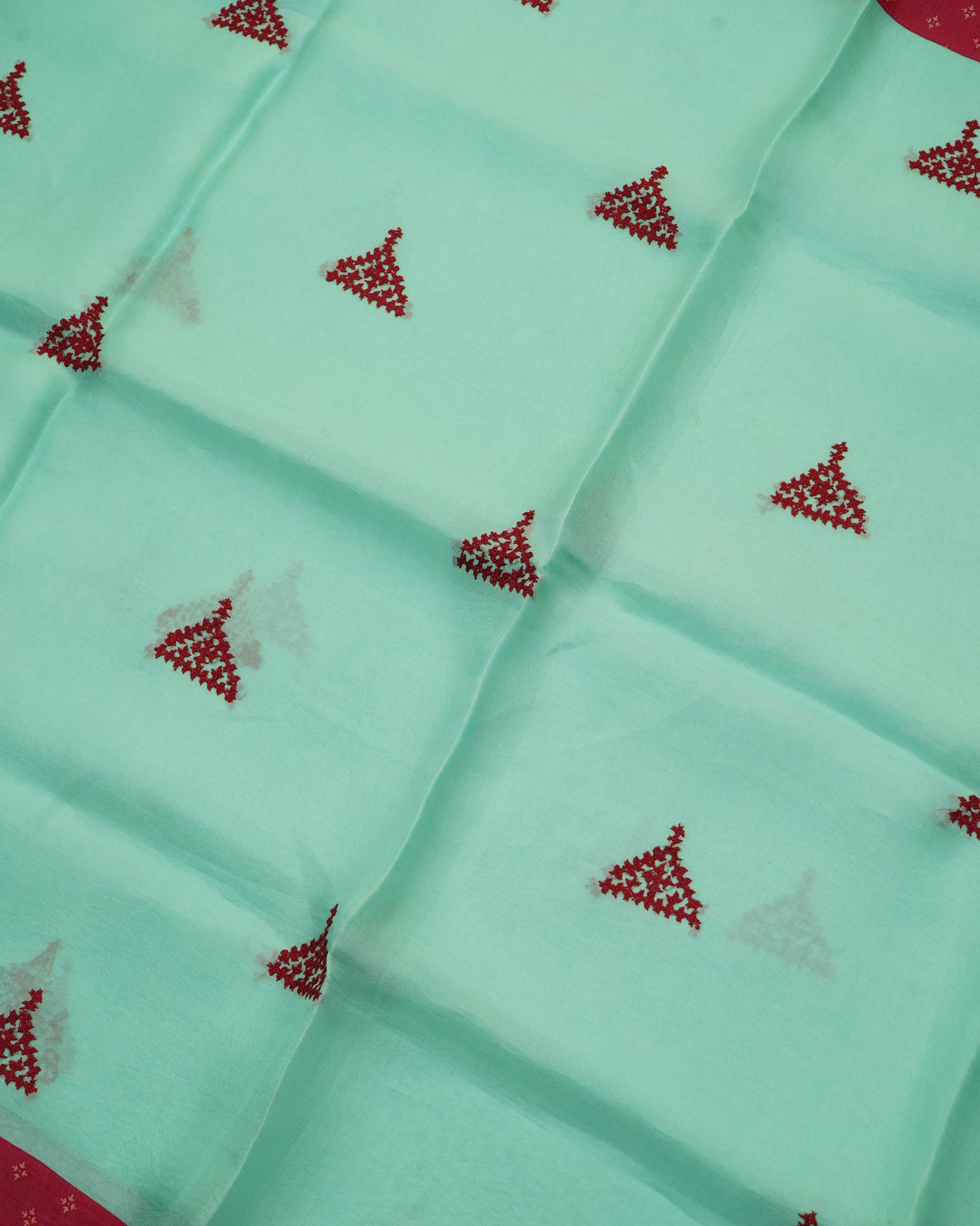 Rexona Organza Saree with Rani Arakku Kutch Work Design