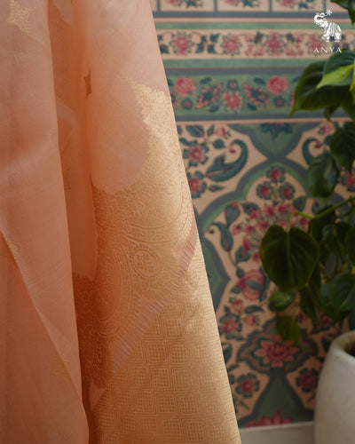 Peach Organza Saree with Star Butta Design