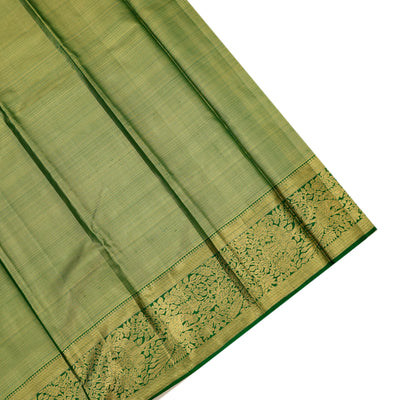 Golden Kanchipuram Silk Saree with Creeper Design