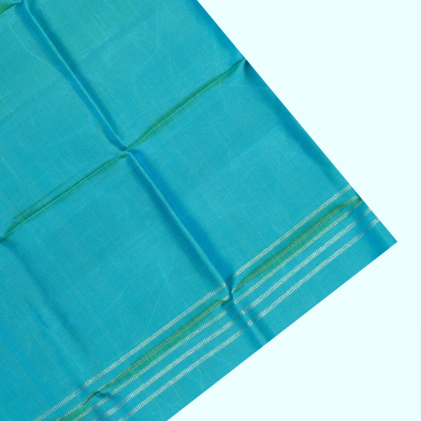 V Pakku Pen Kalamkari Kanchi Silk Saree