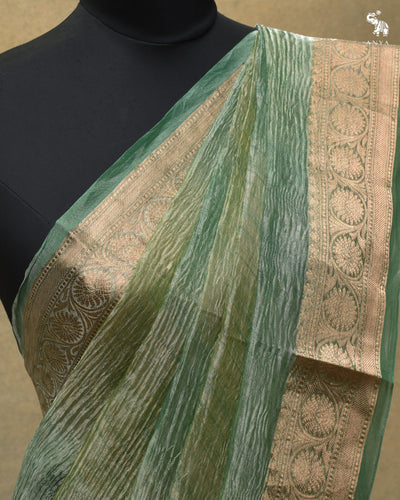 Apple Green Multicolour Tissue Saree with Crush Tissue Pallu