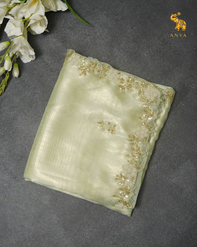 Apple Green Tissue Organza Saree with Embroidery Design