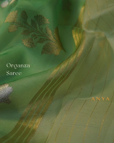 Mint Green Organza Saree with Creeper Design