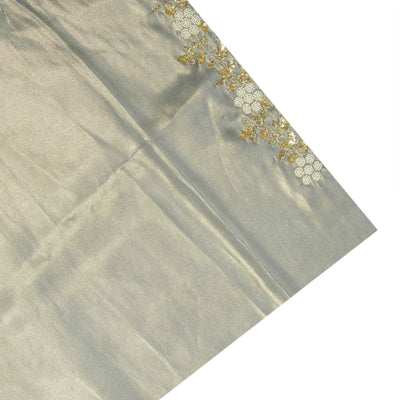 Apple Green Tissue Organza Saree with Embroidery Design