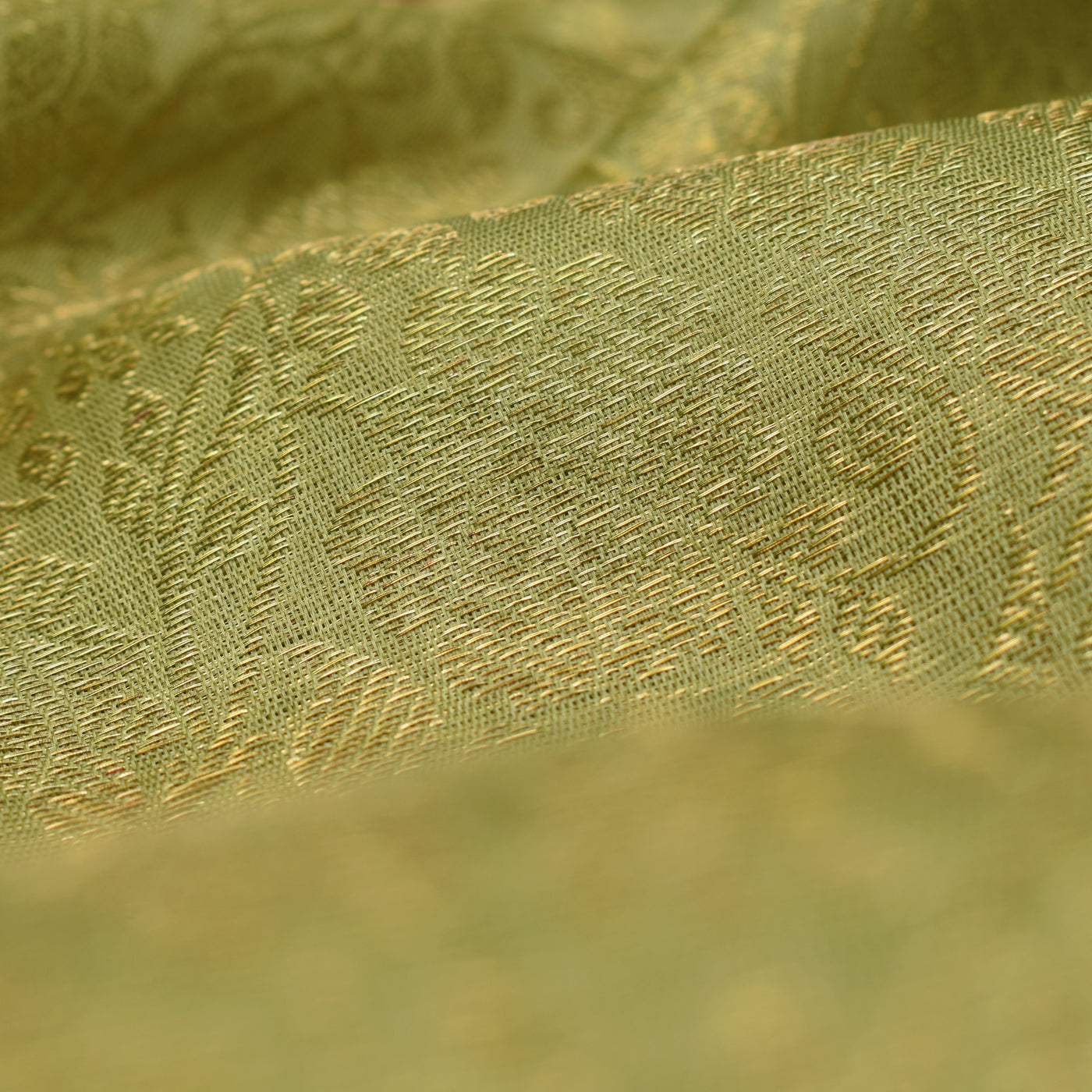 Meganthi Green Organza Silk Fabric