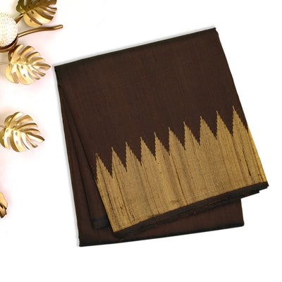 Brown Tussar Silk Saree