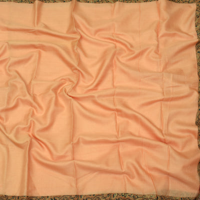 Orange Tussar Saree With Black Zig Zag Blouse